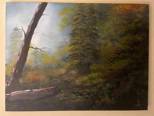 18” x 24” Morning Mist Oil Painting